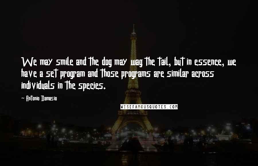 Antonio Damasio Quotes: We may smile and the dog may wag the tail, but in essence, we have a set program and those programs are similar across individuals in the species.