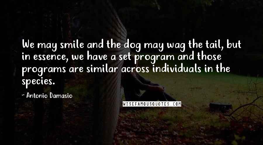 Antonio Damasio Quotes: We may smile and the dog may wag the tail, but in essence, we have a set program and those programs are similar across individuals in the species.