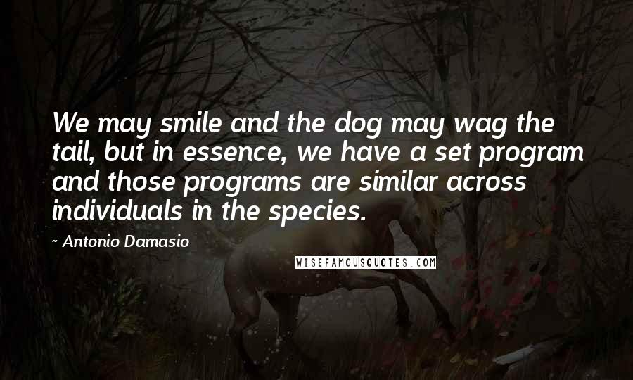 Antonio Damasio Quotes: We may smile and the dog may wag the tail, but in essence, we have a set program and those programs are similar across individuals in the species.