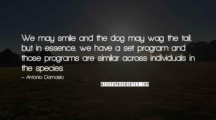 Antonio Damasio Quotes: We may smile and the dog may wag the tail, but in essence, we have a set program and those programs are similar across individuals in the species.