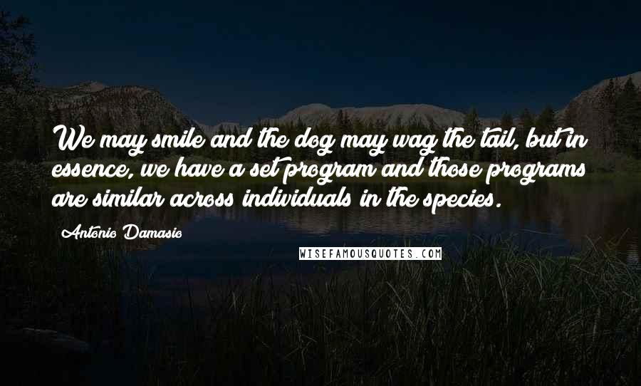 Antonio Damasio Quotes: We may smile and the dog may wag the tail, but in essence, we have a set program and those programs are similar across individuals in the species.
