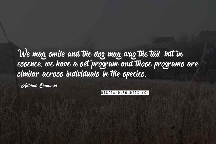 Antonio Damasio Quotes: We may smile and the dog may wag the tail, but in essence, we have a set program and those programs are similar across individuals in the species.