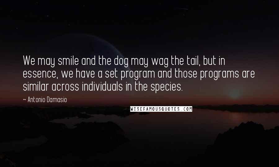 Antonio Damasio Quotes: We may smile and the dog may wag the tail, but in essence, we have a set program and those programs are similar across individuals in the species.