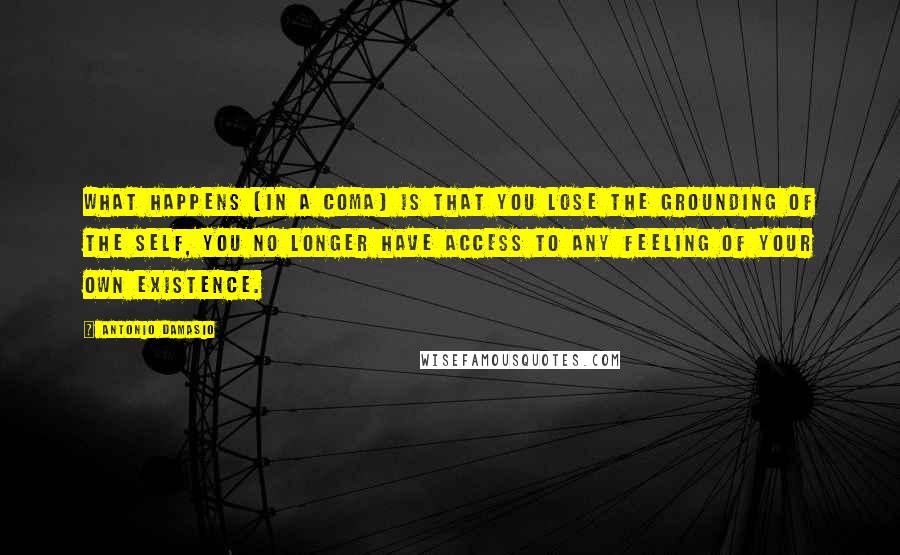 Antonio Damasio Quotes: What happens [in a coma] is that you lose the grounding of the self, you no longer have access to any feeling of your own existence.