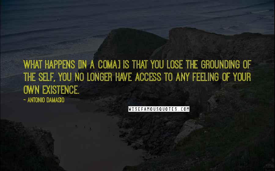 Antonio Damasio Quotes: What happens [in a coma] is that you lose the grounding of the self, you no longer have access to any feeling of your own existence.