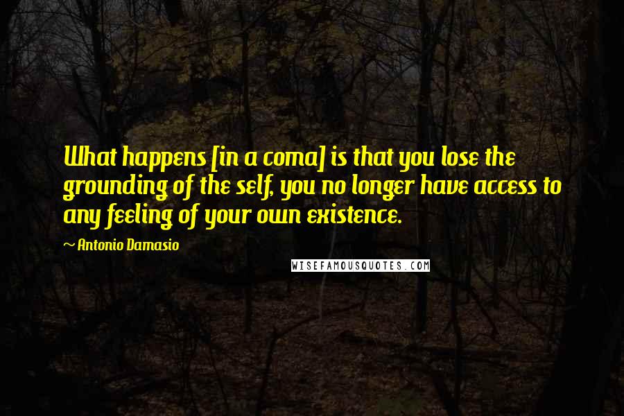 Antonio Damasio Quotes: What happens [in a coma] is that you lose the grounding of the self, you no longer have access to any feeling of your own existence.