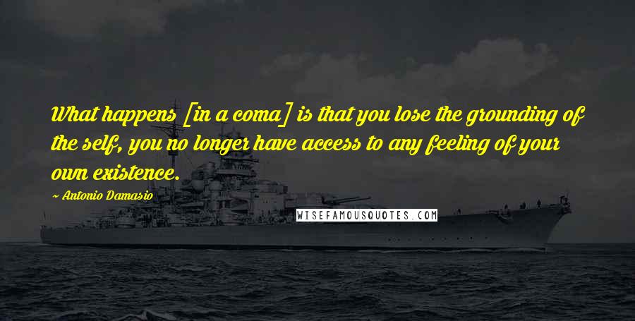 Antonio Damasio Quotes: What happens [in a coma] is that you lose the grounding of the self, you no longer have access to any feeling of your own existence.