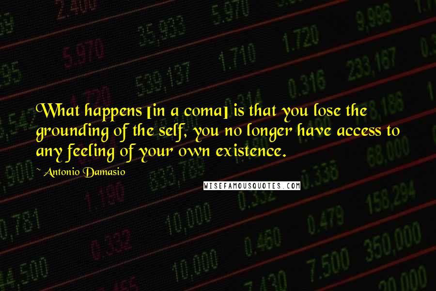 Antonio Damasio Quotes: What happens [in a coma] is that you lose the grounding of the self, you no longer have access to any feeling of your own existence.