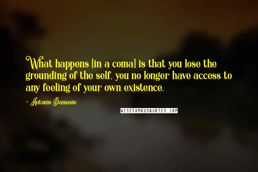 Antonio Damasio Quotes: What happens [in a coma] is that you lose the grounding of the self, you no longer have access to any feeling of your own existence.