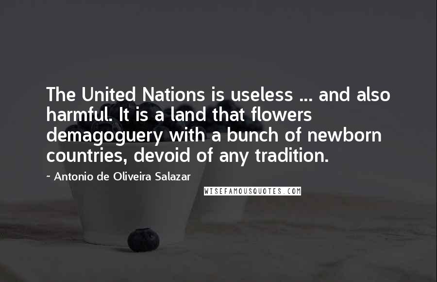 Antonio De Oliveira Salazar Quotes: The United Nations is useless ... and also harmful. It is a land that flowers demagoguery with a bunch of newborn countries, devoid of any tradition.