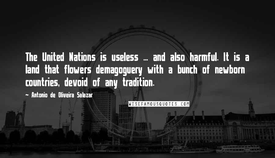 Antonio De Oliveira Salazar Quotes: The United Nations is useless ... and also harmful. It is a land that flowers demagoguery with a bunch of newborn countries, devoid of any tradition.