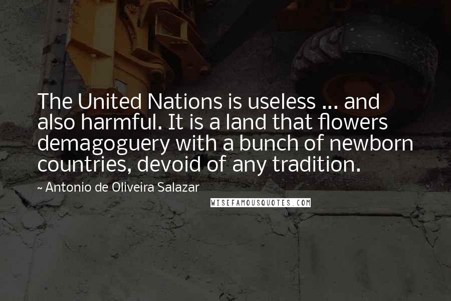 Antonio De Oliveira Salazar Quotes: The United Nations is useless ... and also harmful. It is a land that flowers demagoguery with a bunch of newborn countries, devoid of any tradition.