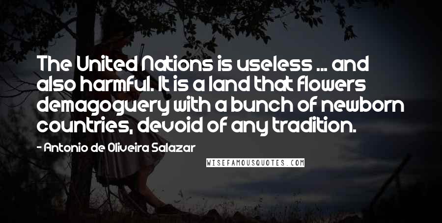 Antonio De Oliveira Salazar Quotes: The United Nations is useless ... and also harmful. It is a land that flowers demagoguery with a bunch of newborn countries, devoid of any tradition.