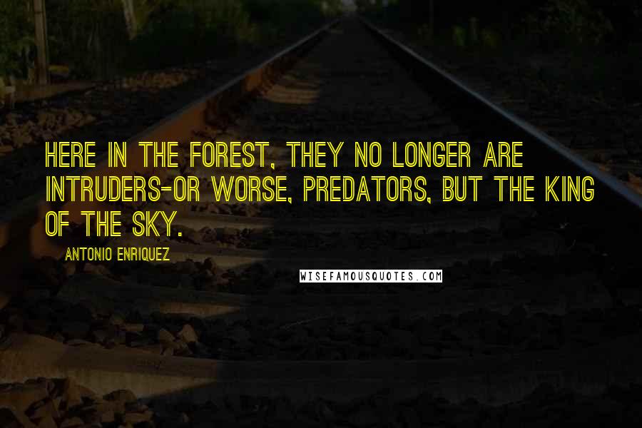 Antonio Enriquez Quotes: Here in the forest, they no longer are intruders-or worse, predators, but the king of the sky.