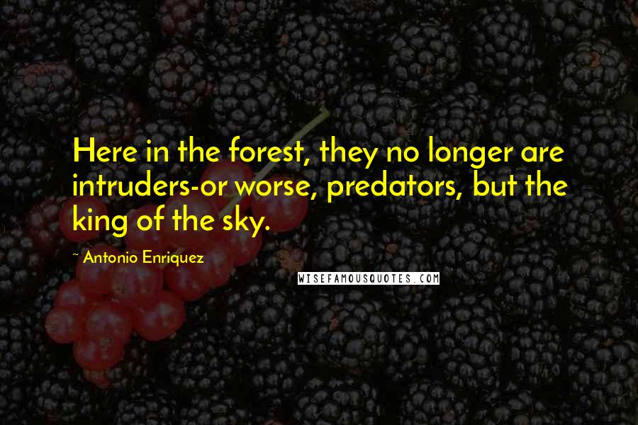 Antonio Enriquez Quotes: Here in the forest, they no longer are intruders-or worse, predators, but the king of the sky.