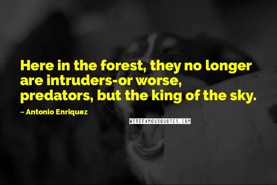 Antonio Enriquez Quotes: Here in the forest, they no longer are intruders-or worse, predators, but the king of the sky.