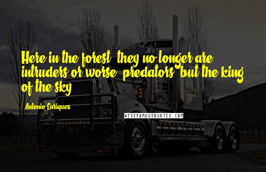 Antonio Enriquez Quotes: Here in the forest, they no longer are intruders-or worse, predators, but the king of the sky.