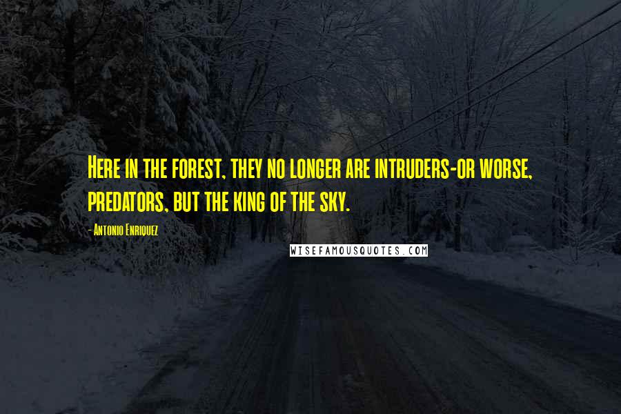 Antonio Enriquez Quotes: Here in the forest, they no longer are intruders-or worse, predators, but the king of the sky.