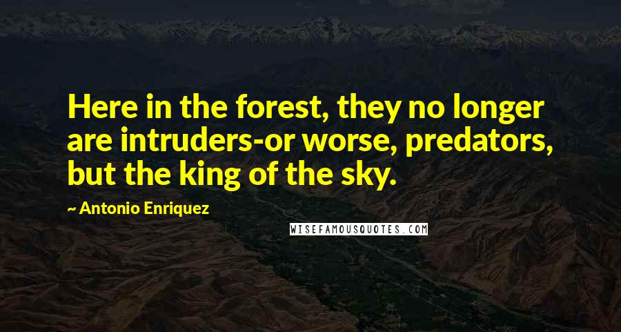 Antonio Enriquez Quotes: Here in the forest, they no longer are intruders-or worse, predators, but the king of the sky.