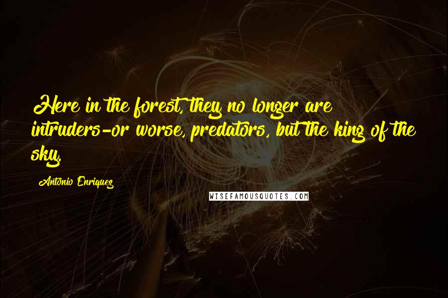 Antonio Enriquez Quotes: Here in the forest, they no longer are intruders-or worse, predators, but the king of the sky.