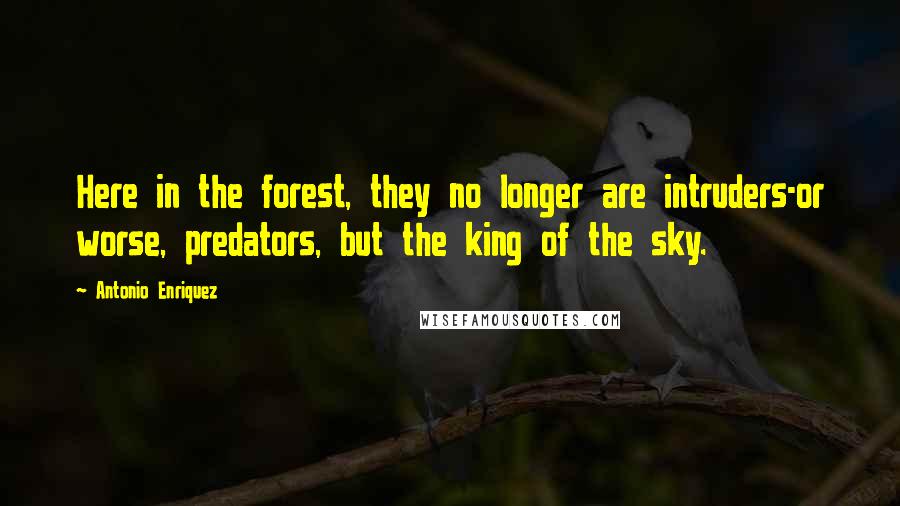 Antonio Enriquez Quotes: Here in the forest, they no longer are intruders-or worse, predators, but the king of the sky.