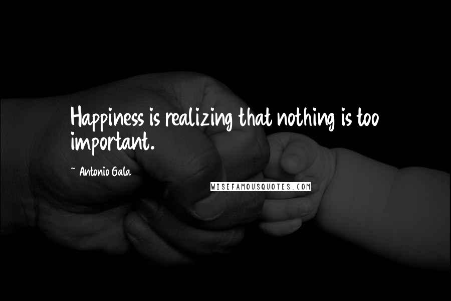 Antonio Gala Quotes: Happiness is realizing that nothing is too important.