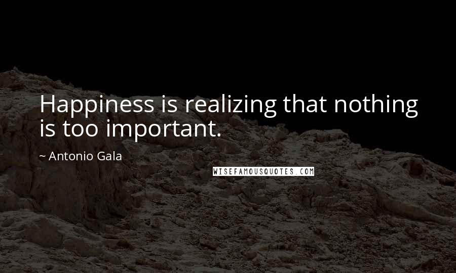 Antonio Gala Quotes: Happiness is realizing that nothing is too important.