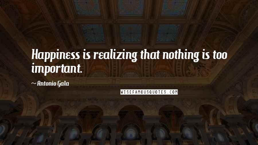 Antonio Gala Quotes: Happiness is realizing that nothing is too important.