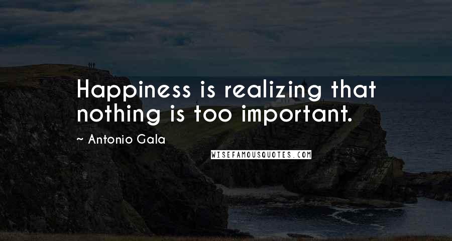 Antonio Gala Quotes: Happiness is realizing that nothing is too important.