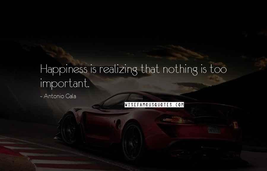 Antonio Gala Quotes: Happiness is realizing that nothing is too important.