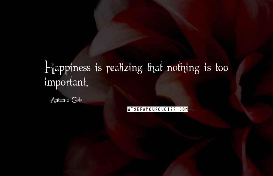 Antonio Gala Quotes: Happiness is realizing that nothing is too important.