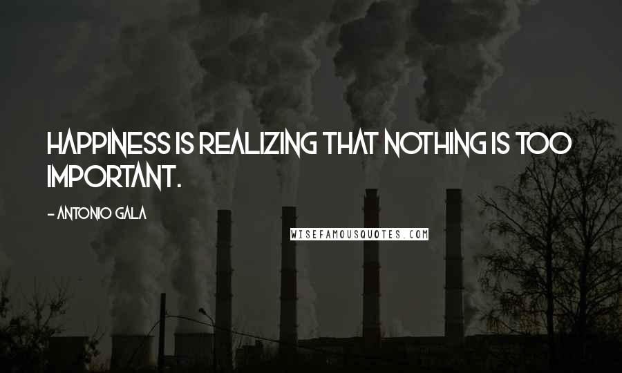 Antonio Gala Quotes: Happiness is realizing that nothing is too important.