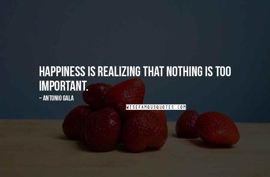 Antonio Gala Quotes: Happiness is realizing that nothing is too important.