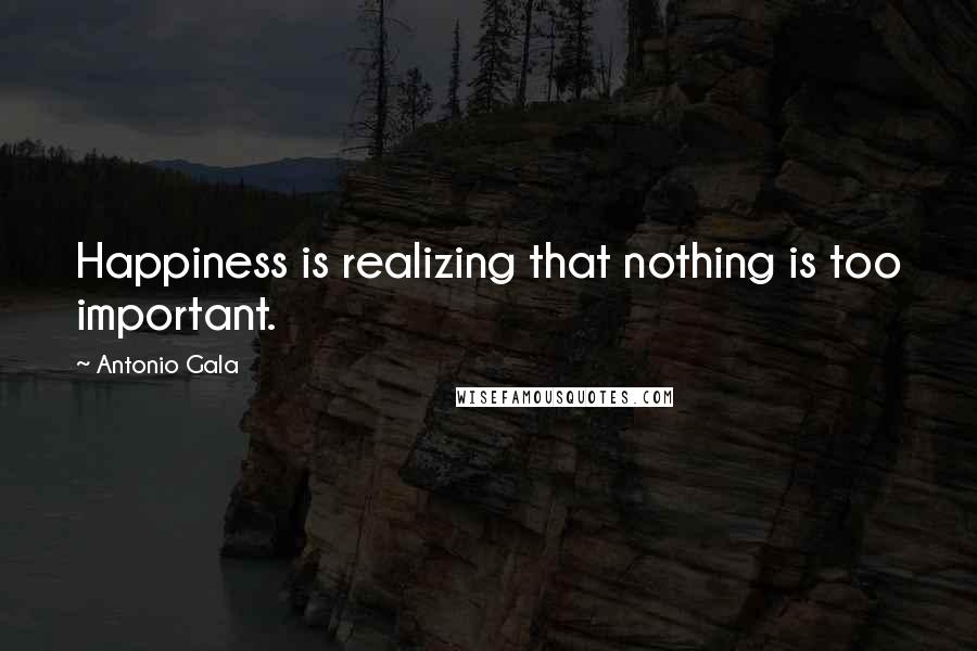 Antonio Gala Quotes: Happiness is realizing that nothing is too important.