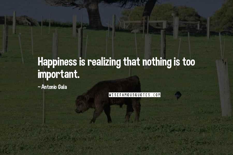 Antonio Gala Quotes: Happiness is realizing that nothing is too important.