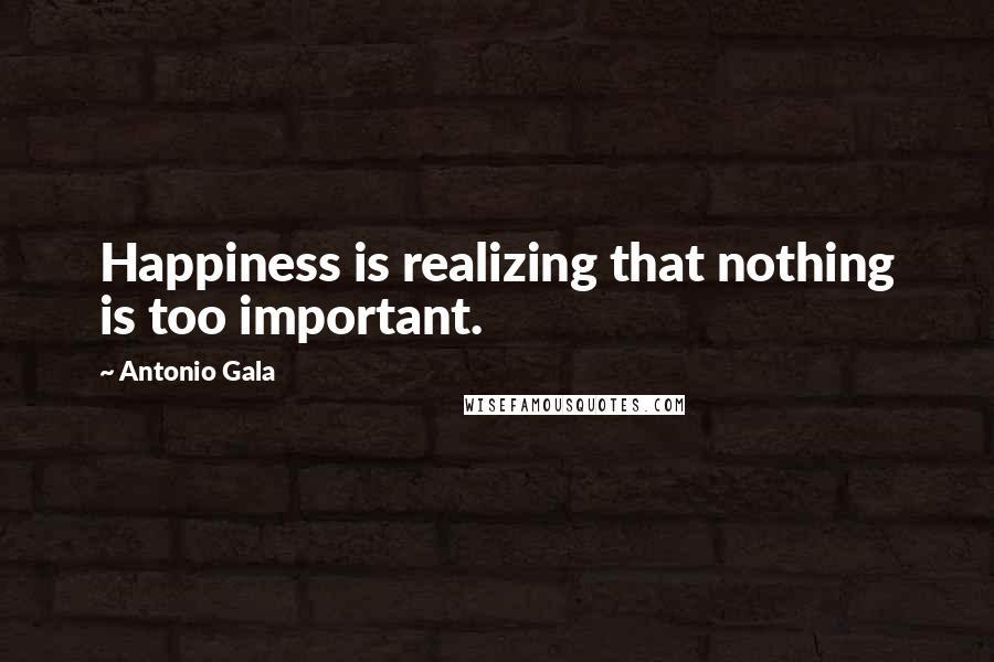 Antonio Gala Quotes: Happiness is realizing that nothing is too important.