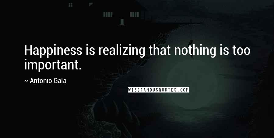 Antonio Gala Quotes: Happiness is realizing that nothing is too important.