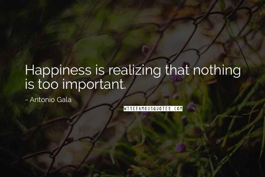 Antonio Gala Quotes: Happiness is realizing that nothing is too important.