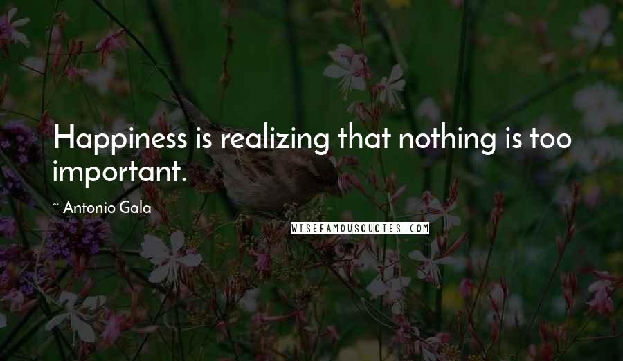 Antonio Gala Quotes: Happiness is realizing that nothing is too important.