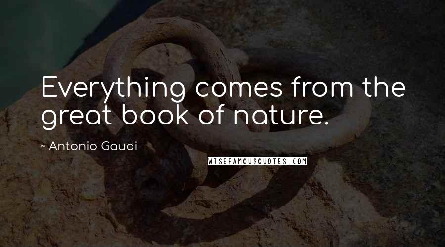 Antonio Gaudi Quotes: Everything comes from the great book of nature.