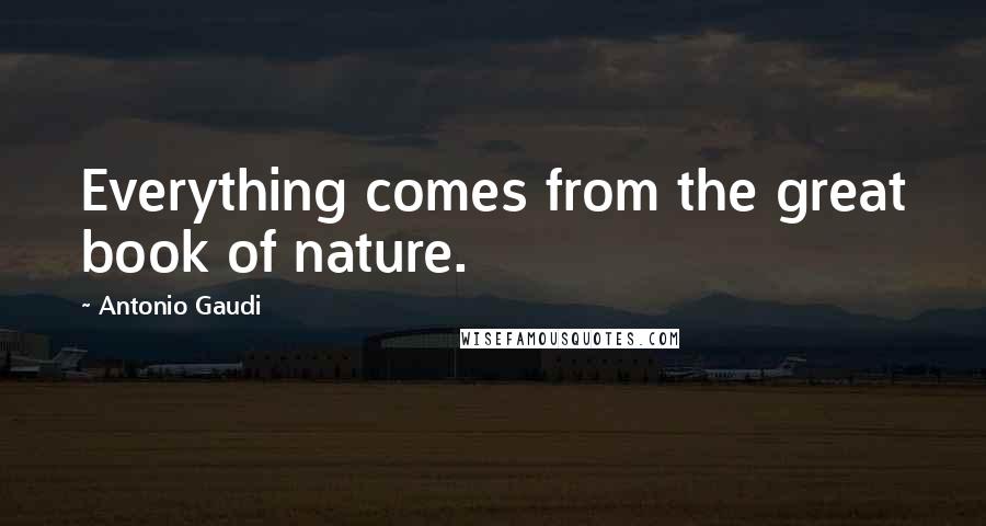 Antonio Gaudi Quotes: Everything comes from the great book of nature.