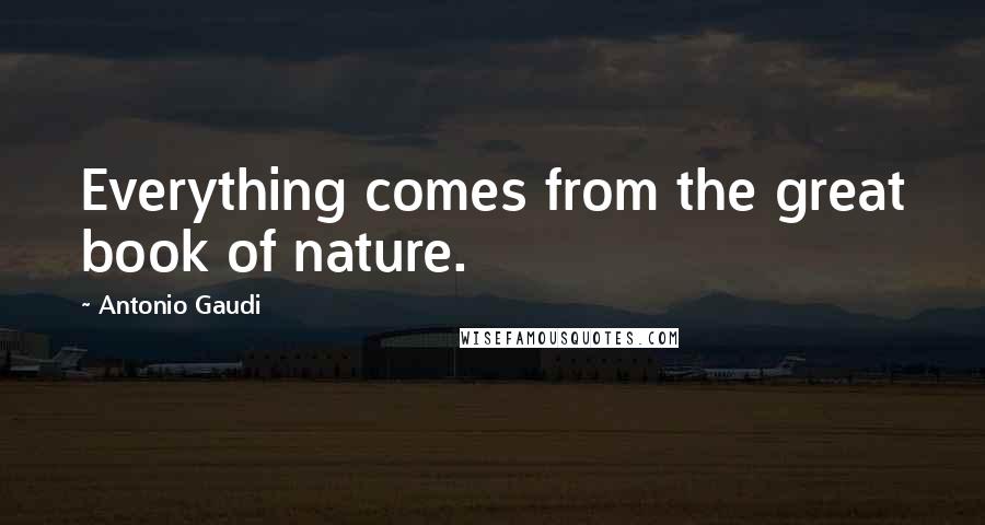 Antonio Gaudi Quotes: Everything comes from the great book of nature.