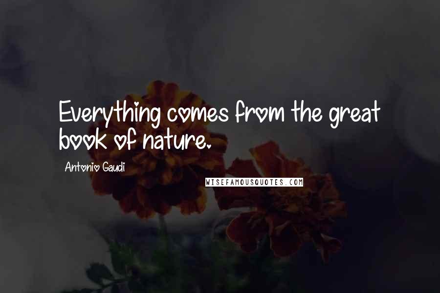 Antonio Gaudi Quotes: Everything comes from the great book of nature.