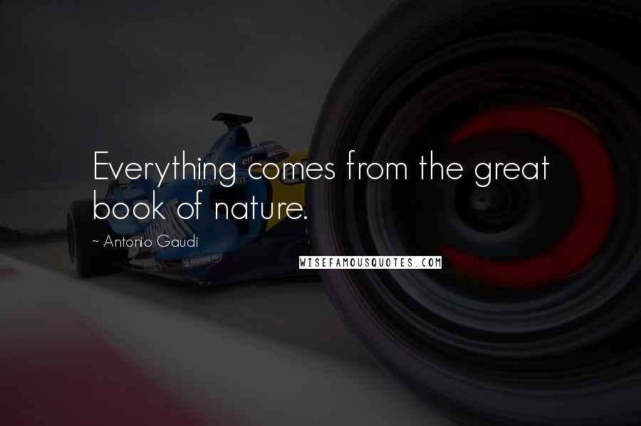 Antonio Gaudi Quotes: Everything comes from the great book of nature.