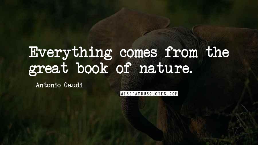 Antonio Gaudi Quotes: Everything comes from the great book of nature.