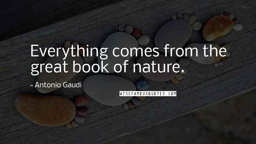 Antonio Gaudi Quotes: Everything comes from the great book of nature.