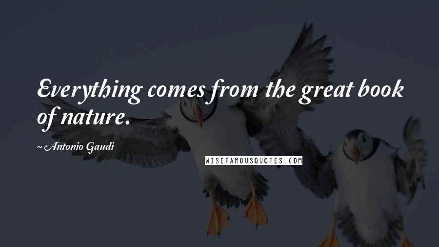 Antonio Gaudi Quotes: Everything comes from the great book of nature.