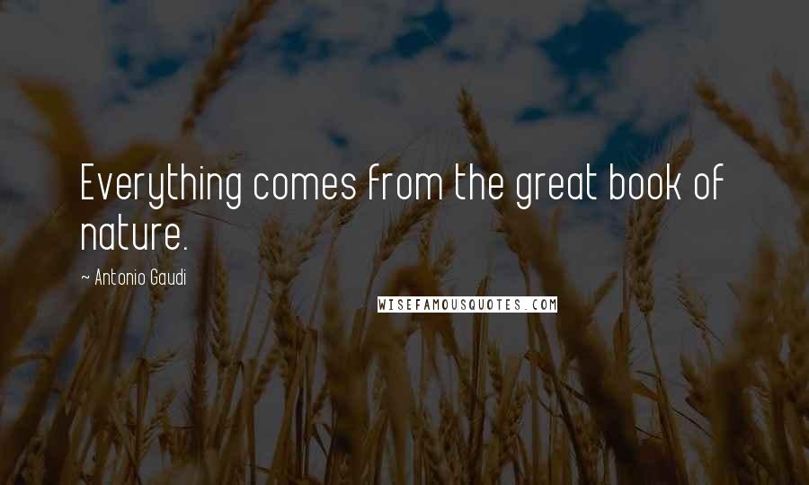 Antonio Gaudi Quotes: Everything comes from the great book of nature.