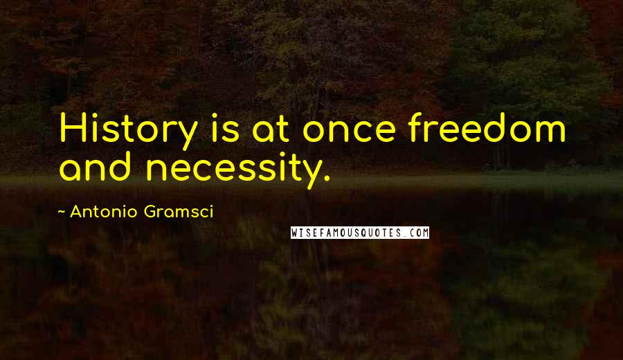 Antonio Gramsci Quotes: History is at once freedom and necessity.