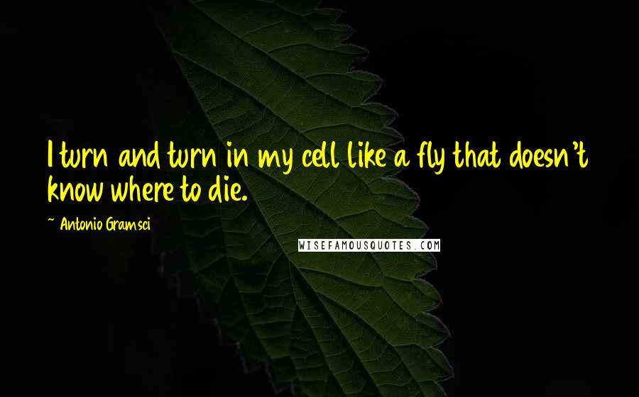 Antonio Gramsci Quotes: I turn and turn in my cell like a fly that doesn't know where to die.